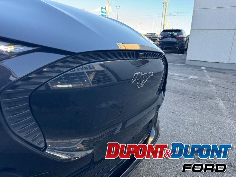 Ford Mustang Mach-e 44