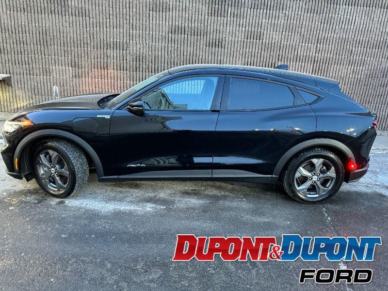 Ford Mustang Mach-e 2