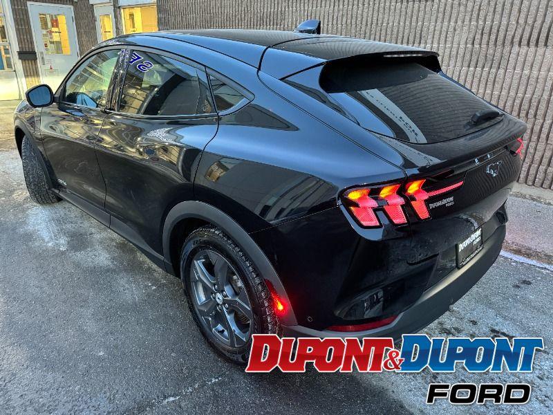 Ford Mustang Mach-e 3