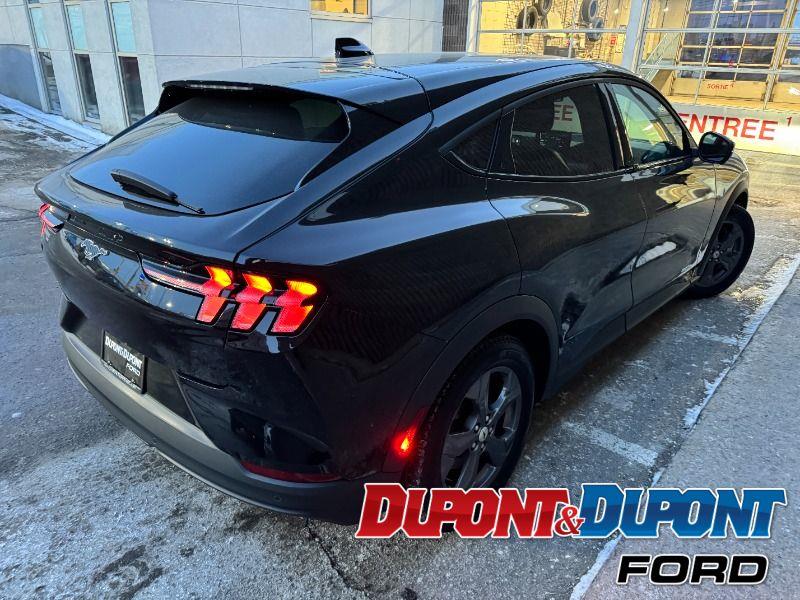 Ford Mustang Mach-e 5