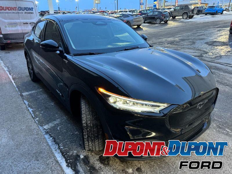 Ford Mustang Mach-e 6