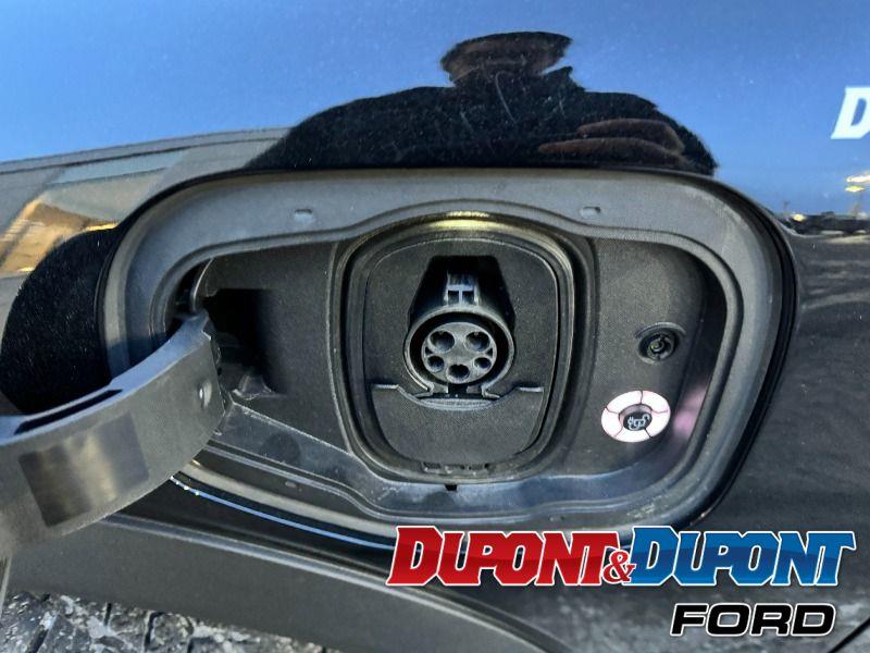 Ford Mustang Mach-e 9