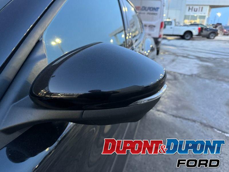 Ford Mustang Mach-e 10