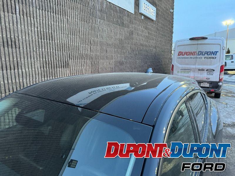 Ford Mustang Mach-e 11