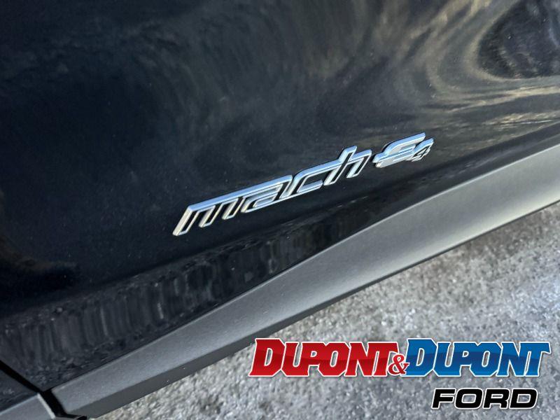 Ford Mustang Mach-e 12