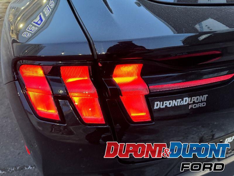 Ford Mustang Mach-e 13