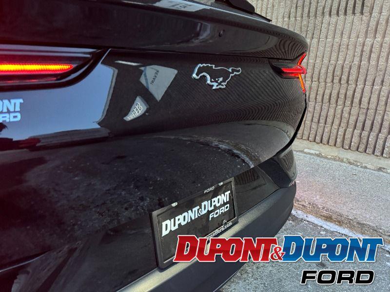 Ford Mustang Mach-e 14