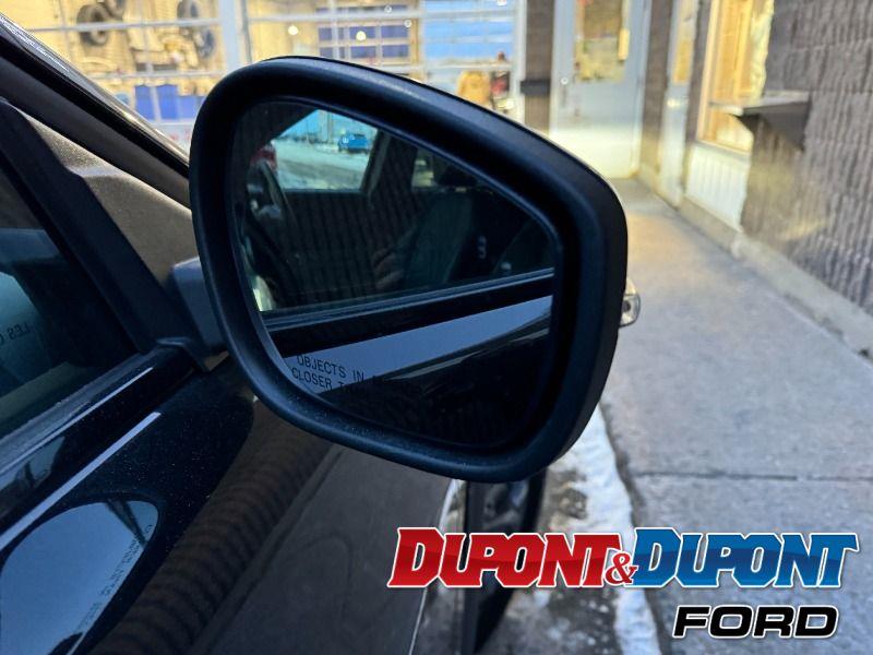 Ford Mustang Mach-e 15