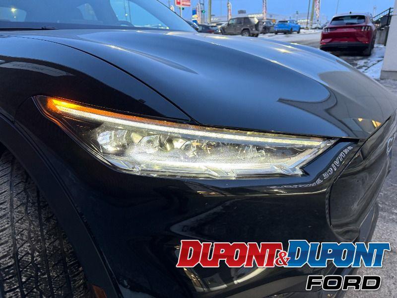 Ford Mustang Mach-e 16