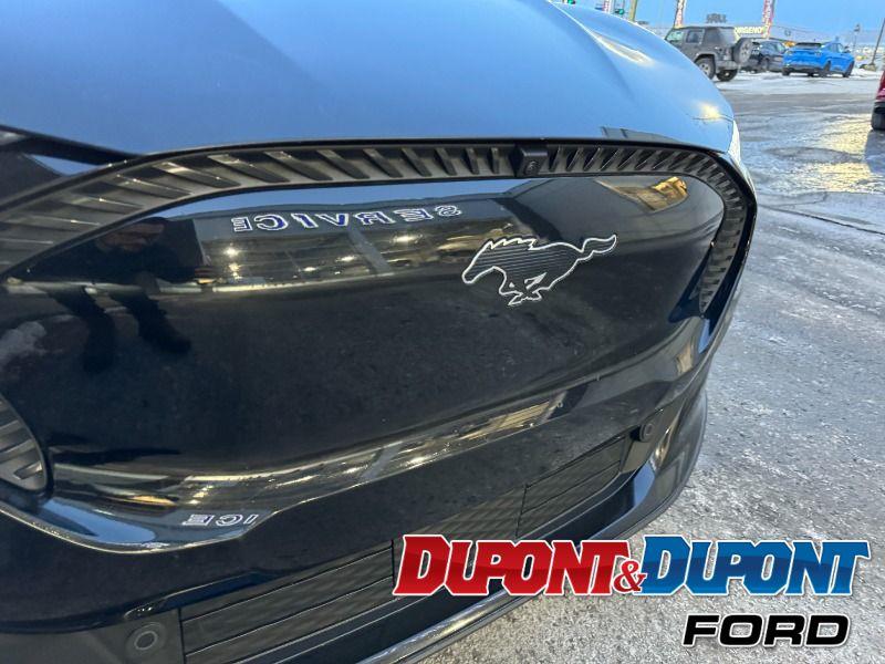 Ford Mustang Mach-e 17