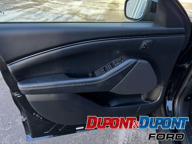 Ford Mustang Mach-e 18