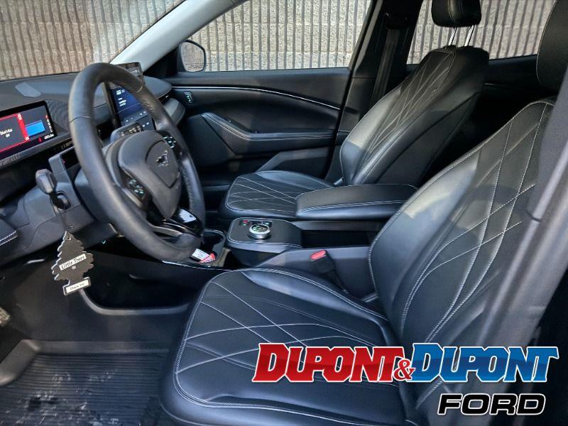 Ford Mustang Mach-e 19