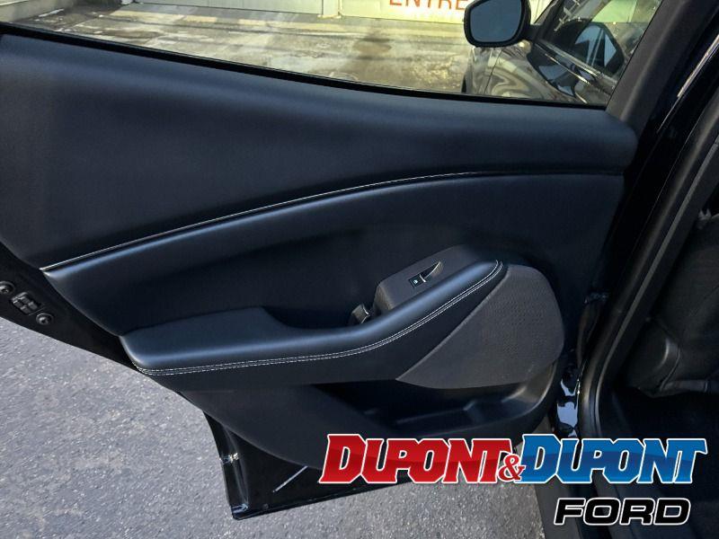 Ford Mustang Mach-e 20