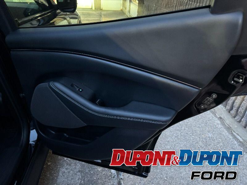 Ford Mustang Mach-e 23