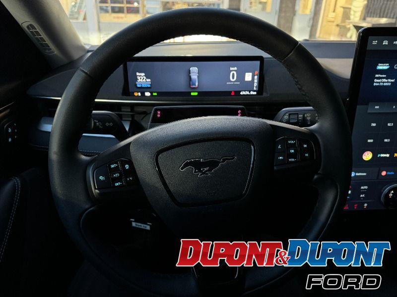 Ford Mustang Mach-e 29