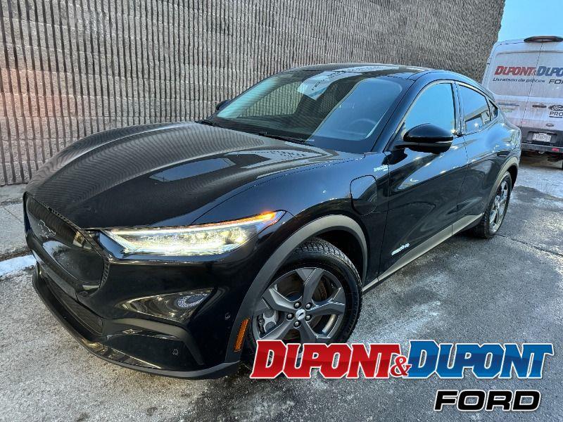 Ford Mustang Mach-e 34