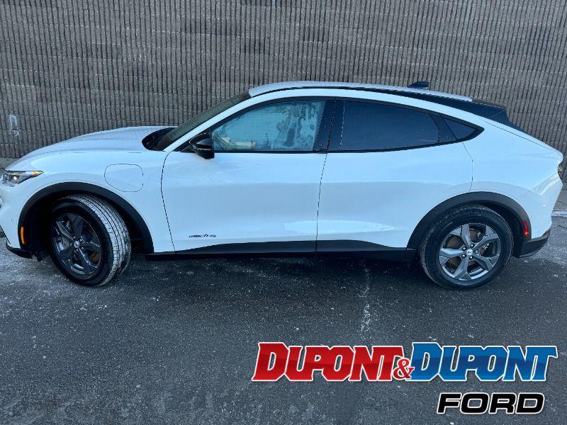 Ford Mustang Mach-e 2