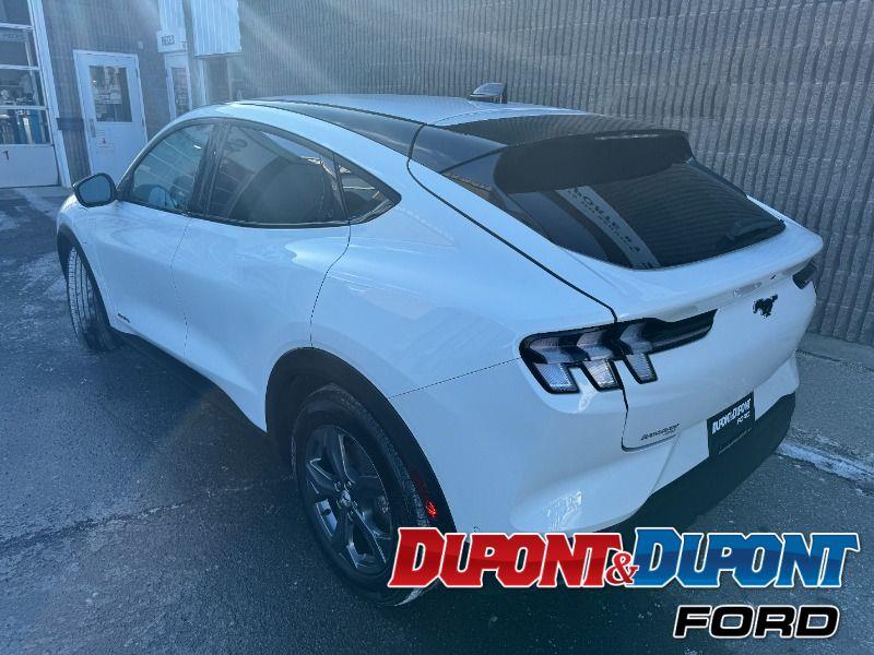 Ford Mustang Mach-e 3