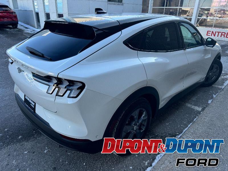 Ford Mustang Mach-e 5