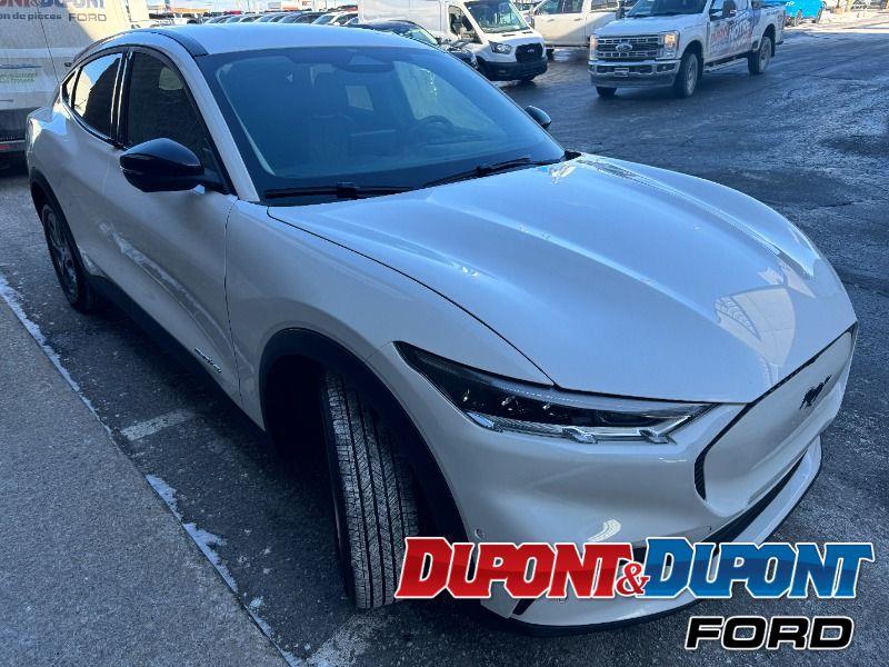 Ford Mustang Mach-e 6