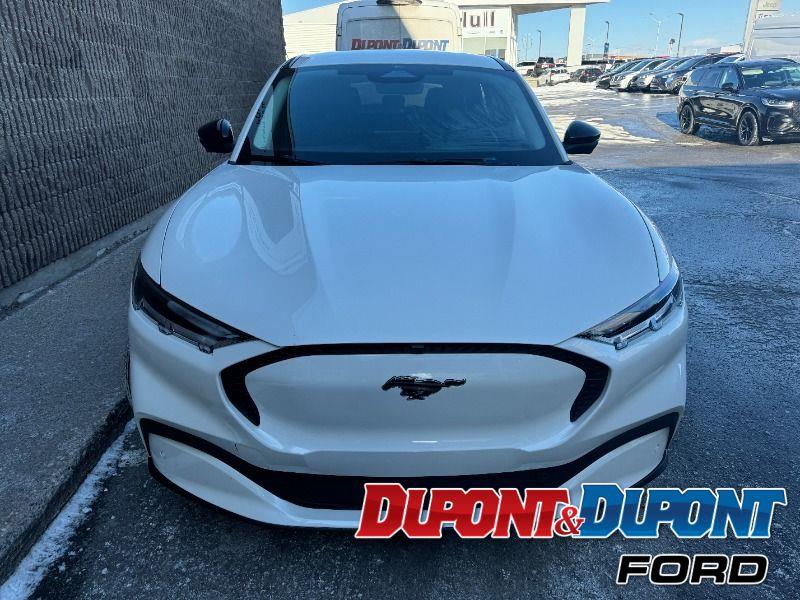 Ford Mustang Mach-e 7