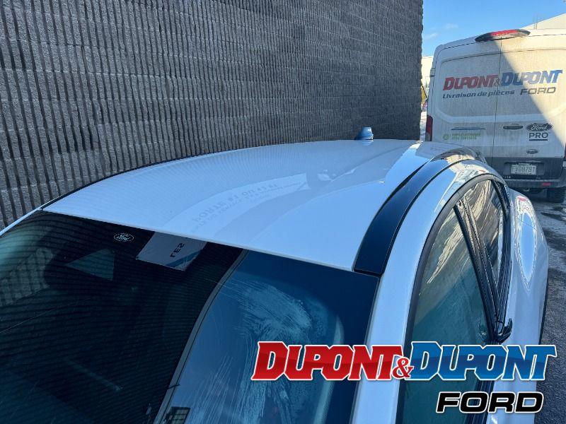 Ford Mustang Mach-e 11