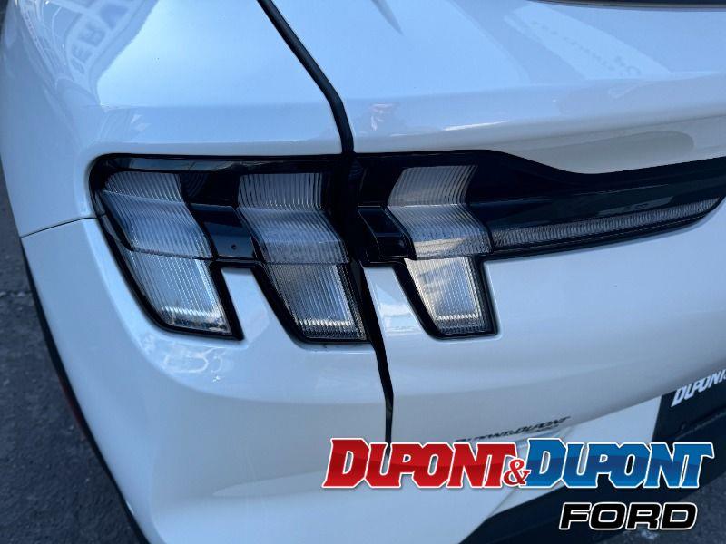 Ford Mustang Mach-e 12