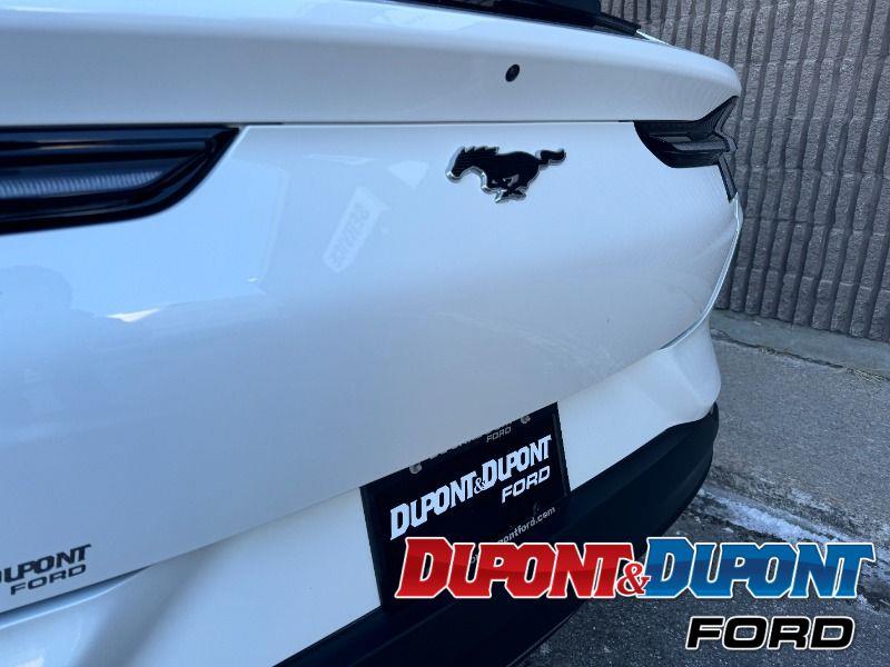 Ford Mustang Mach-e 13