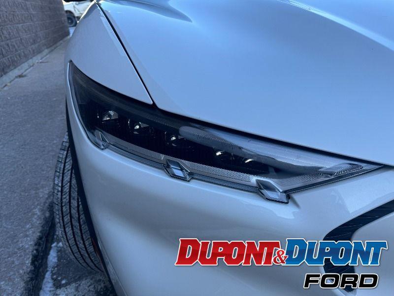 Ford Mustang Mach-e 15