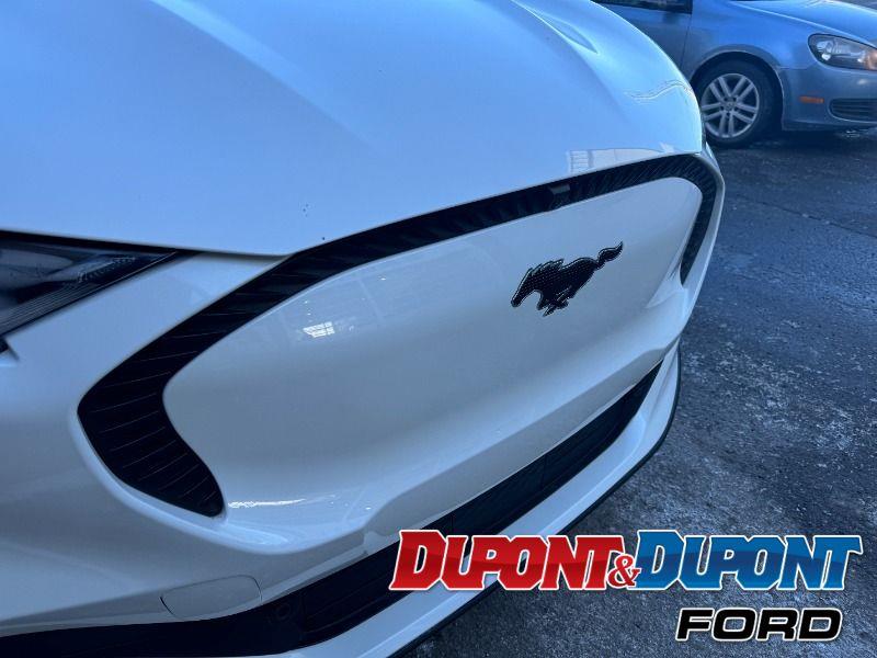 Ford Mustang Mach-e 16