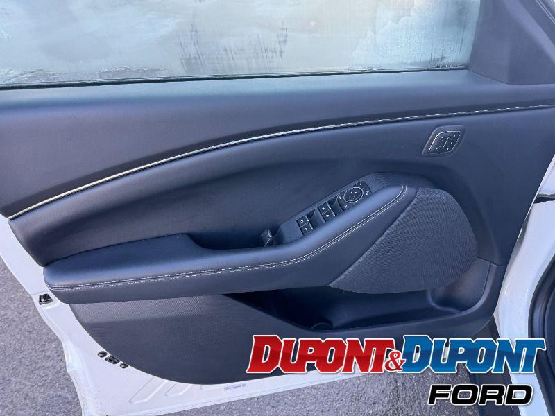 Ford Mustang Mach-e 17