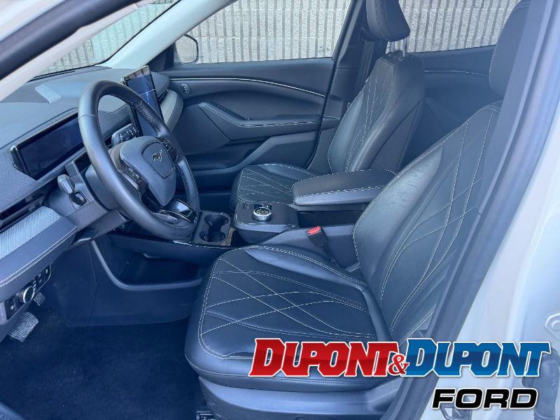 Ford Mustang Mach-e 18