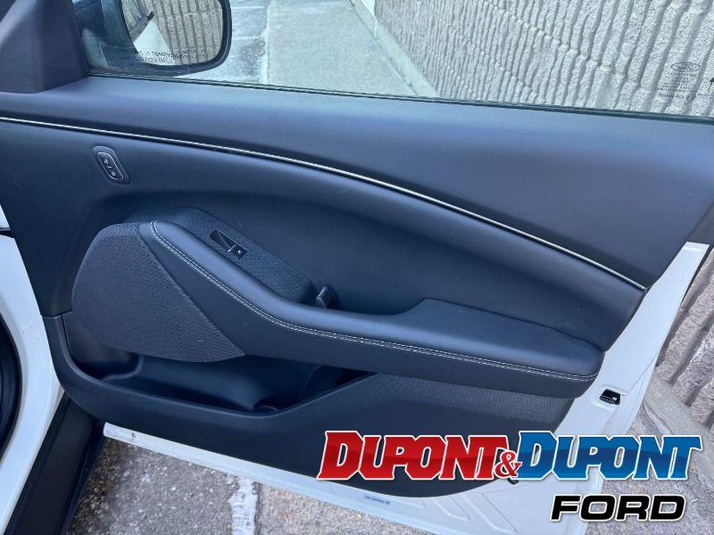 Ford Mustang Mach-e 24