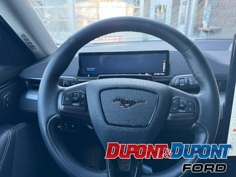 Ford Mustang Mach-e 28