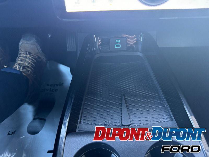 Ford Mustang Mach-e 30