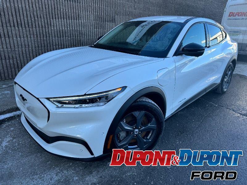 Ford Mustang Mach-e 33