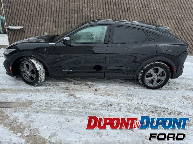 Ford Mustang Mach-e 2