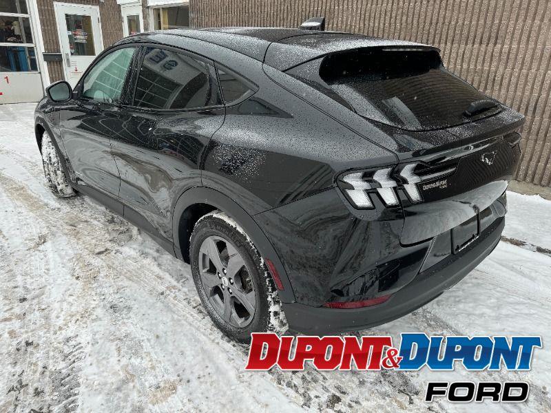 Ford Mustang Mach-e 3