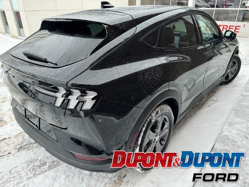 Ford Mustang Mach-e 5