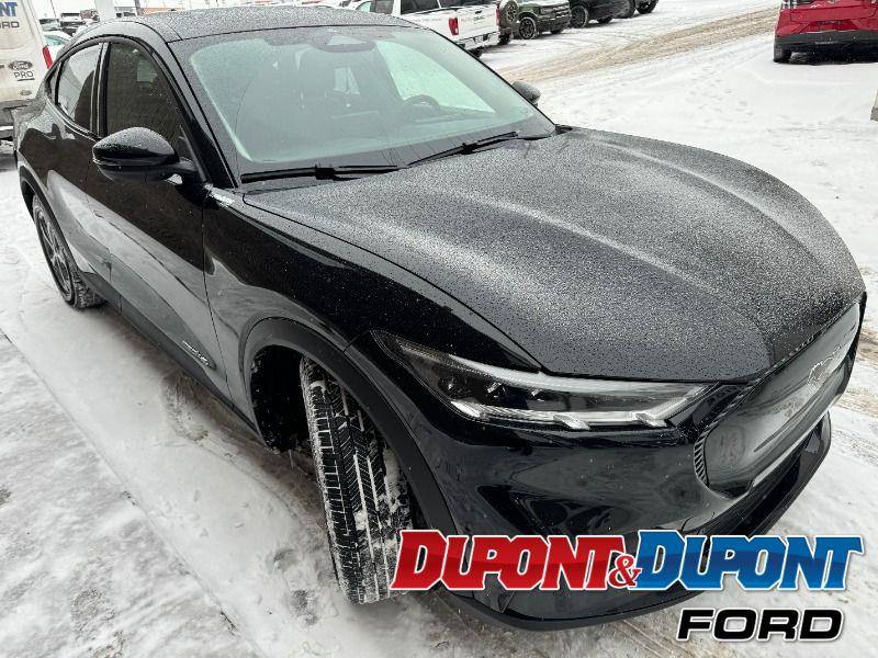 Ford Mustang Mach-e 6