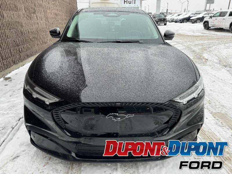 Ford Mustang Mach-e 7