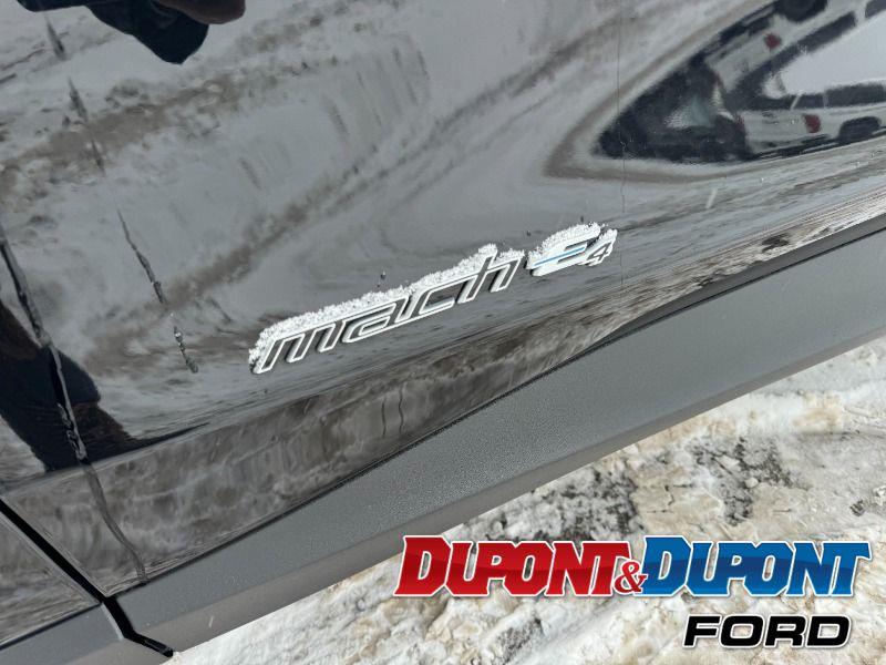 Ford Mustang Mach-e 10