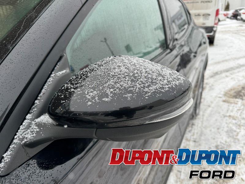 Ford Mustang Mach-e 11