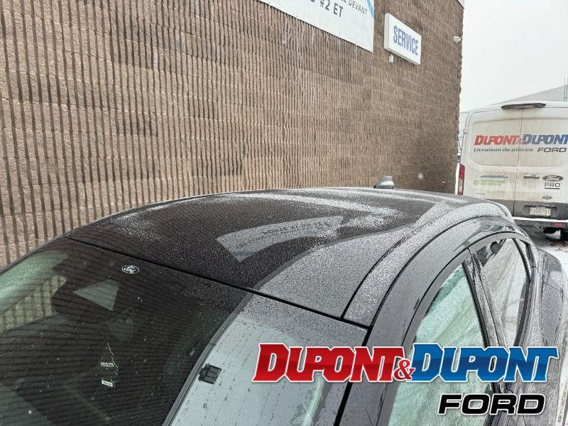 Ford Mustang Mach-e 12