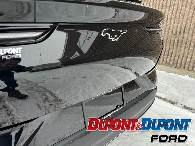 Ford Mustang Mach-e 13