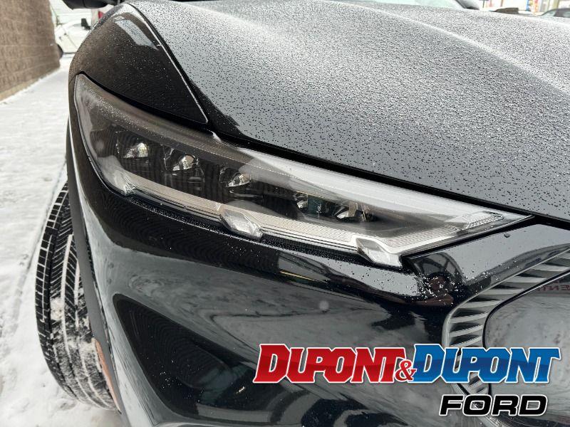 Ford Mustang Mach-e 15