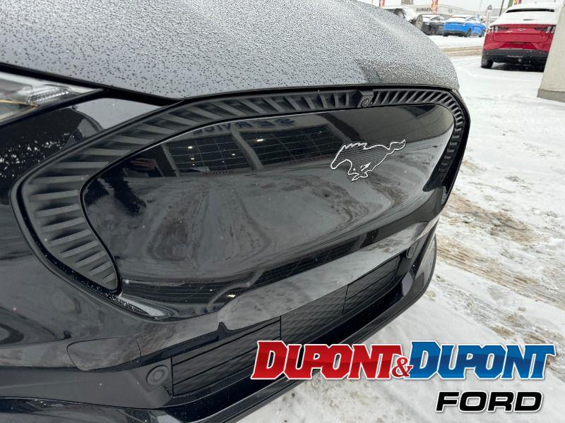 Ford Mustang Mach-e 16