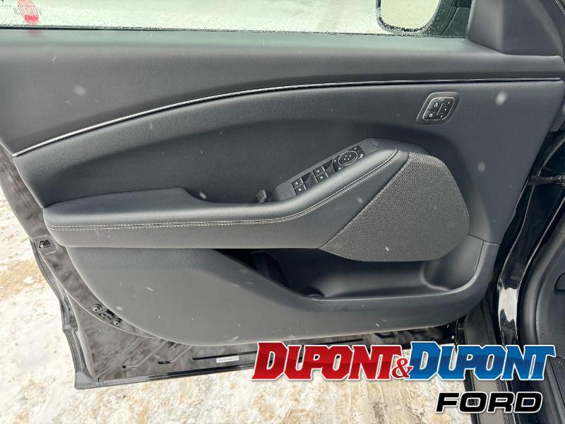 Ford Mustang Mach-e 17