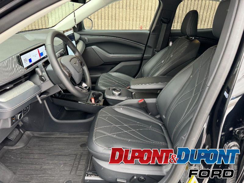 Ford Mustang Mach-e 18