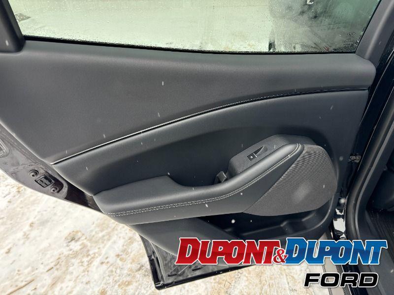 Ford Mustang Mach-e 19